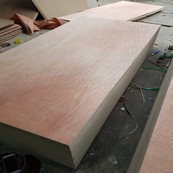 15mm bintangor plywood