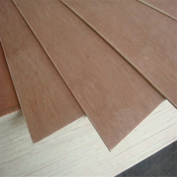 3mm bintangor plywood