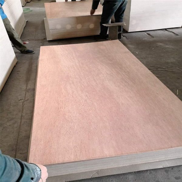 4mm bintangor plywood