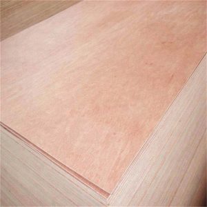 18mm bintangor plywood