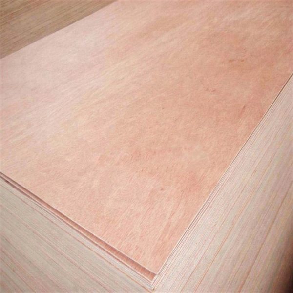 5mm bintangor plywood