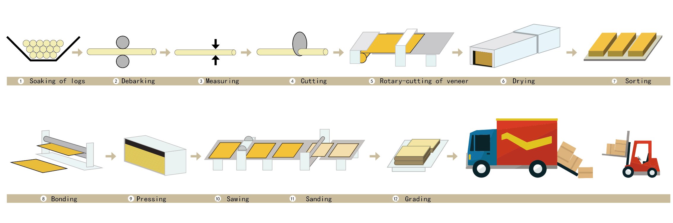 plywood production process