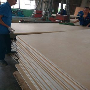 F17 21mm bb birch baltic plywood