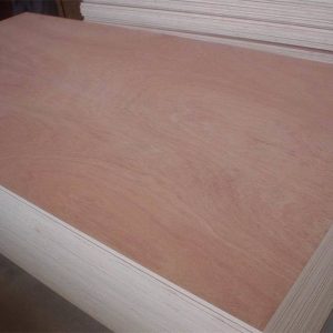 12mm bintangor plywood