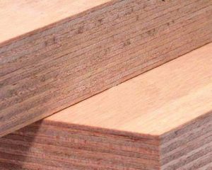 Read more about the article What is WBP plywood? Questions and answers about WBP plywood